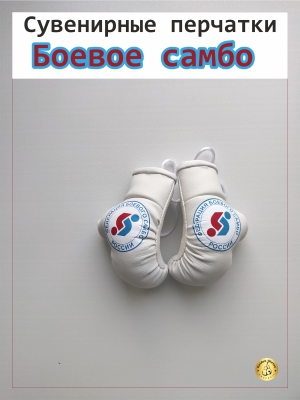 combat sambo